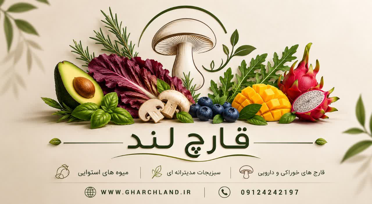قارچ لند